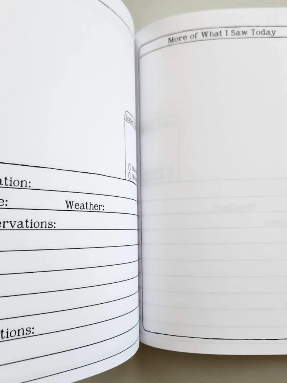 NEW Nature Journal for Kids Activity Book Notebook Hardcover Book Birdwatching B